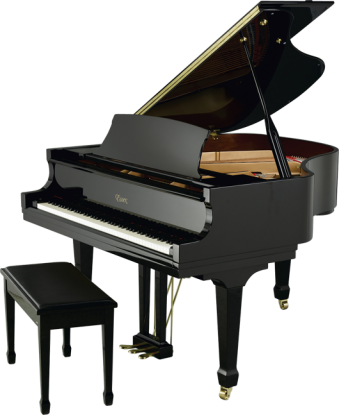 Đàn Piano Essex EGP-173C